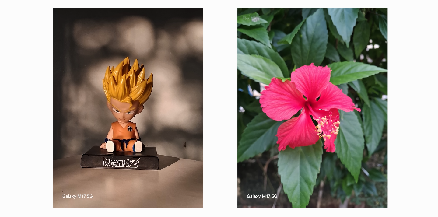 Galaxy M17 5G studio photo samples how does it handle low-light