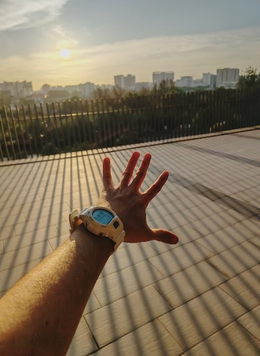 Honor X9d Camera Samples Shared by UK Reviewers