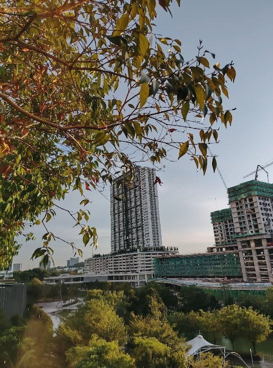 Honor X9d Camera Samples Shared by UK Reviewers