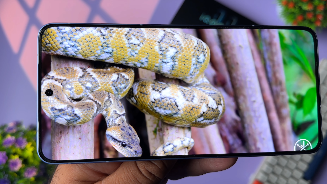 In Canada iQOO Neo 11 might offer best value flagship experience