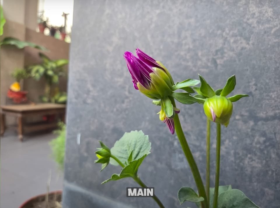 Infinix Hot 60i 5G Main Camera Review