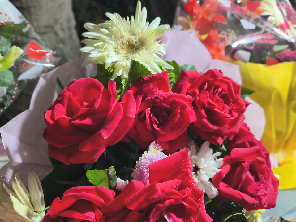 LAVA Agni 4 camera modes explained with real samples