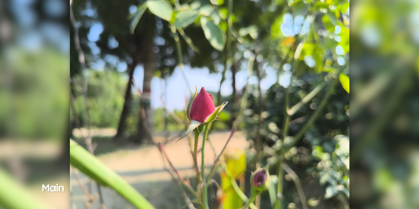 LAVA Agni 4 macro and ultra wide camera test