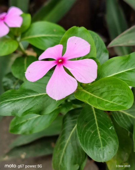 Moto G67 Power sound quality review and verdict