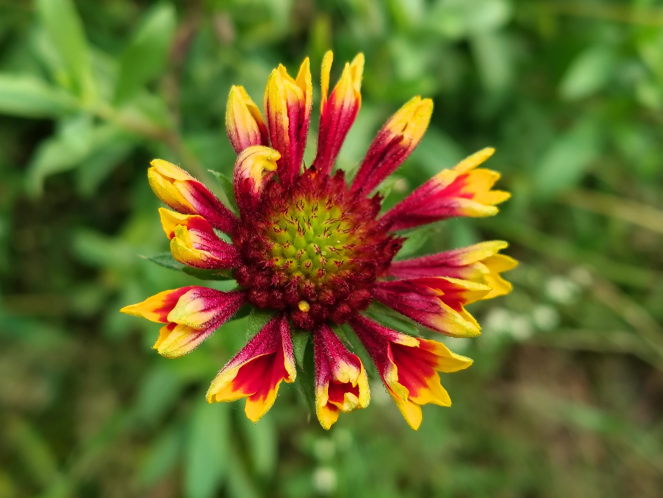 Moto G67 Power’s night mode photography tested