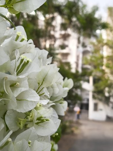 Motorola Edge 70 camera photo