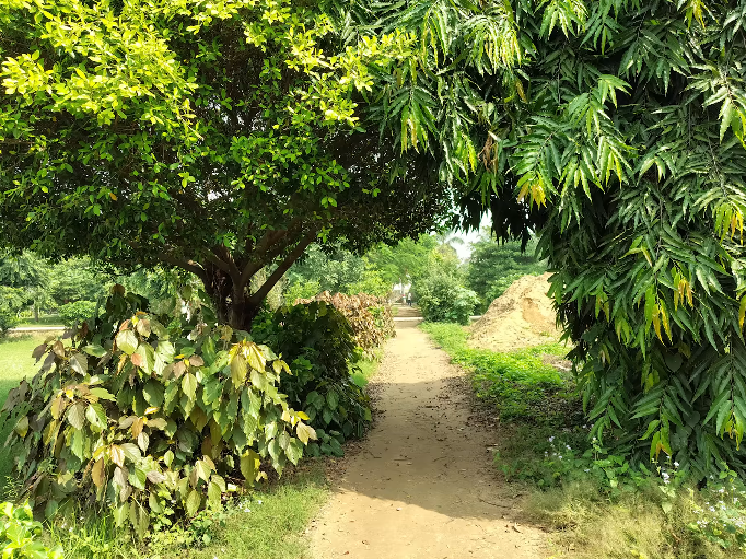 Motorola’s Moto G67 Power appears in live photos