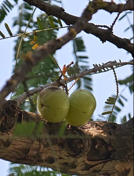 OPPO Find X9 Pro UK network bands checked will 5G work everywhere