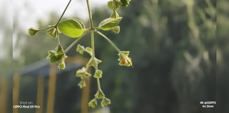 OPPO Find X9 Pro UK standby battery life how long when idle