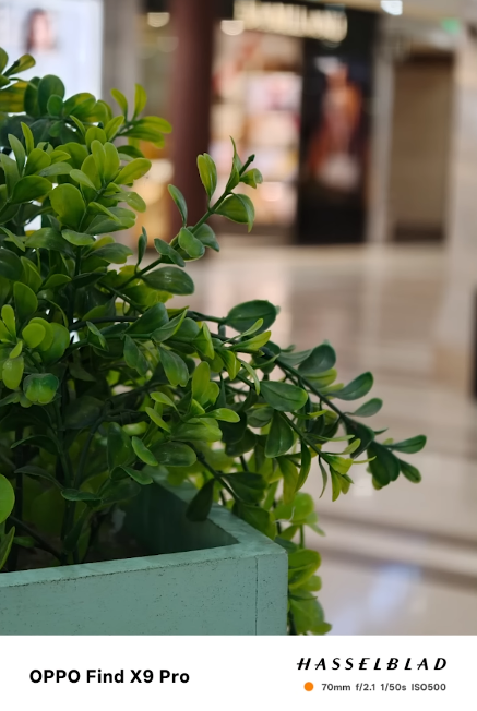 OPPO Find X9 Pro vs Samsung S24 Ultra who offers more for your money now