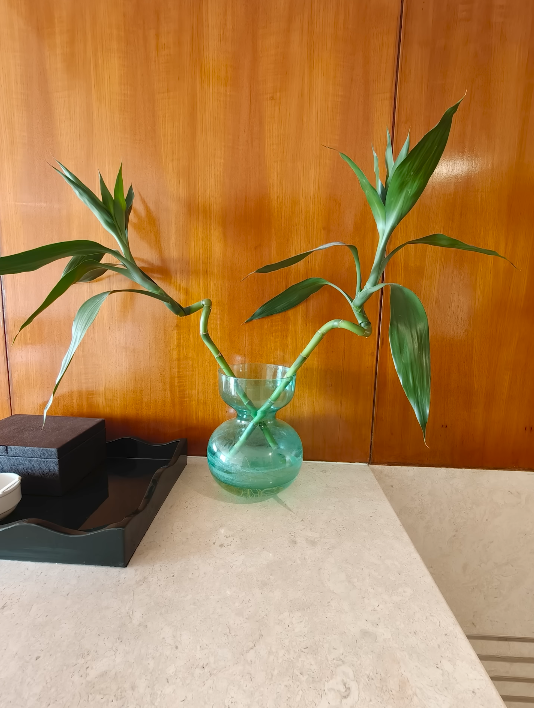 OPPO Find X9 Pro vs budget premium phones is this overkill