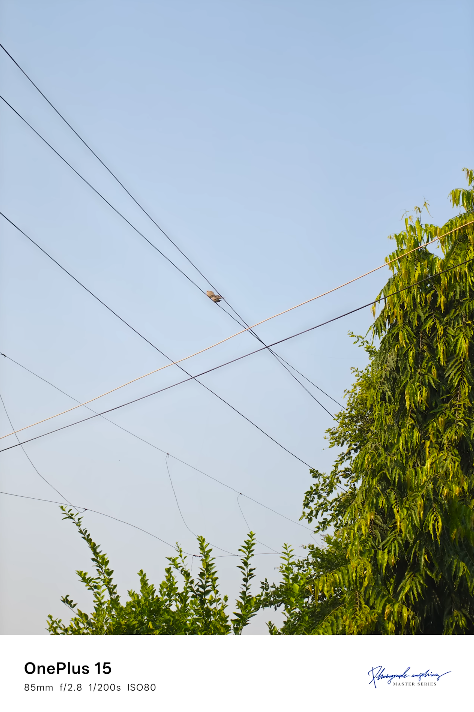 OnePlus 15 vs Google Pixel 9 Pro XL — best camera phone for UK users