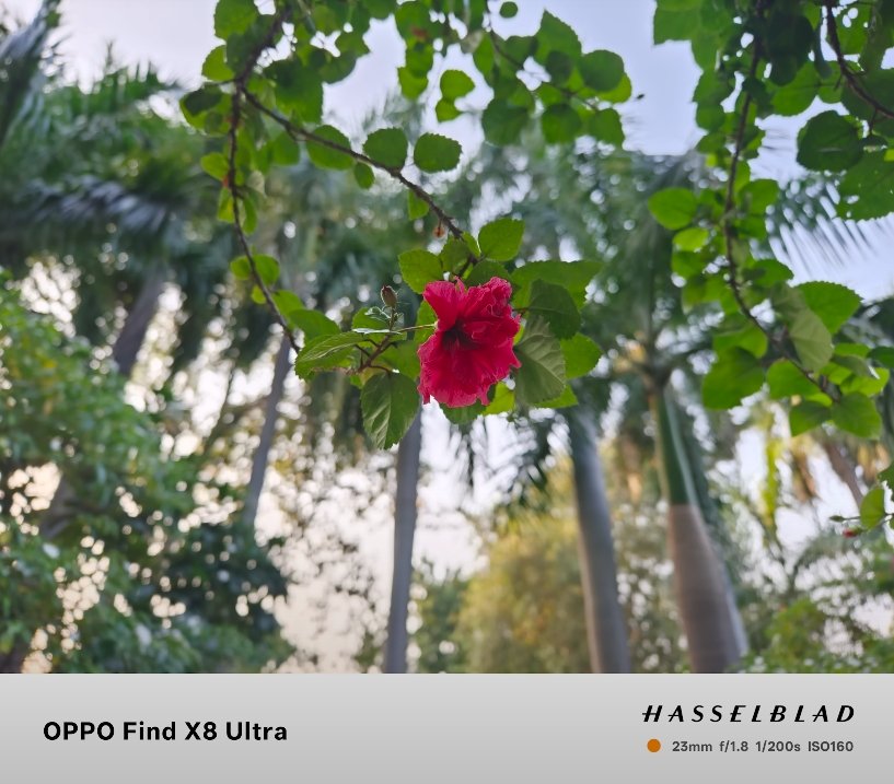 Oppo Find X8 Ultra fast charging speed record revealed