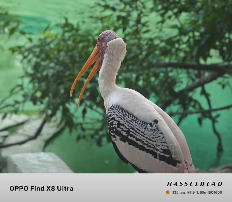 Oppo Find X8 Ultra vs Galaxy S24 Ultra night mode test