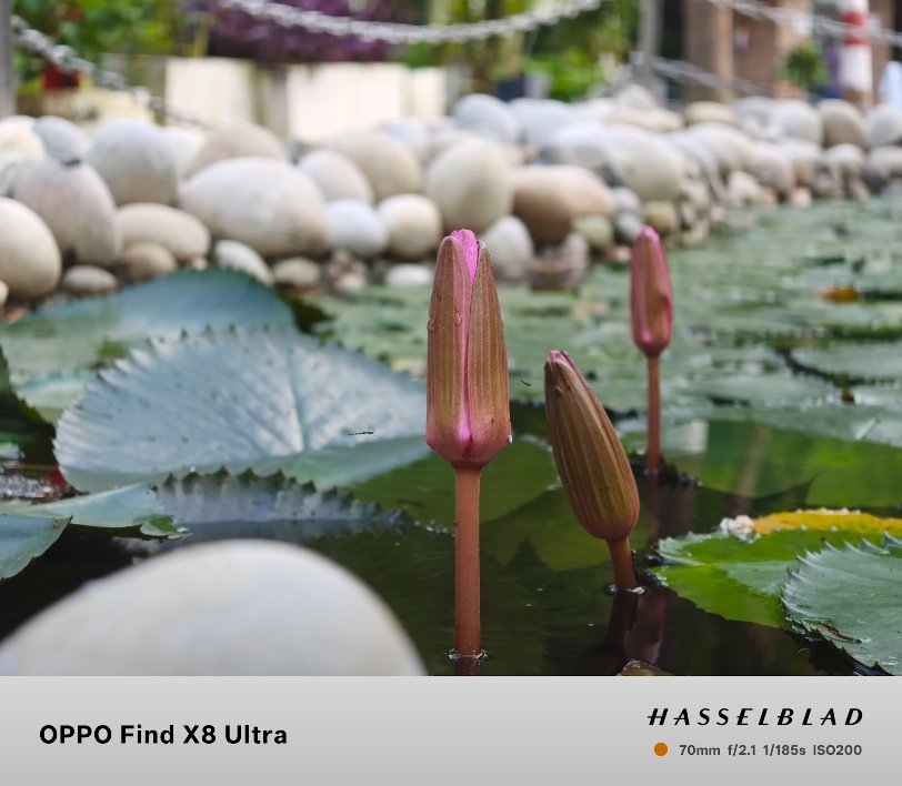 Oppo Find X8 Ultra vs Honor Magic 7 Pro feature check