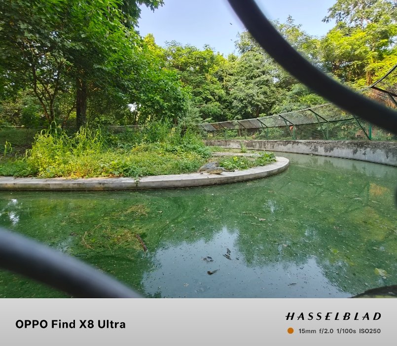 Oppo Find X8 Ultra vs Realme 13 Pro Plus camera test