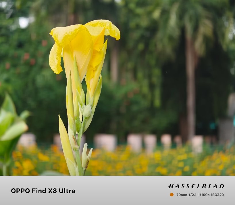 Oppo Find X8 Ultra vs Vivo X300 Ultra camera shootout