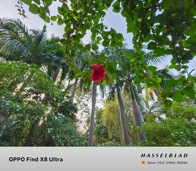 Oppo Find X8 Ultra vs Xiaomi 14 Ultra photography test