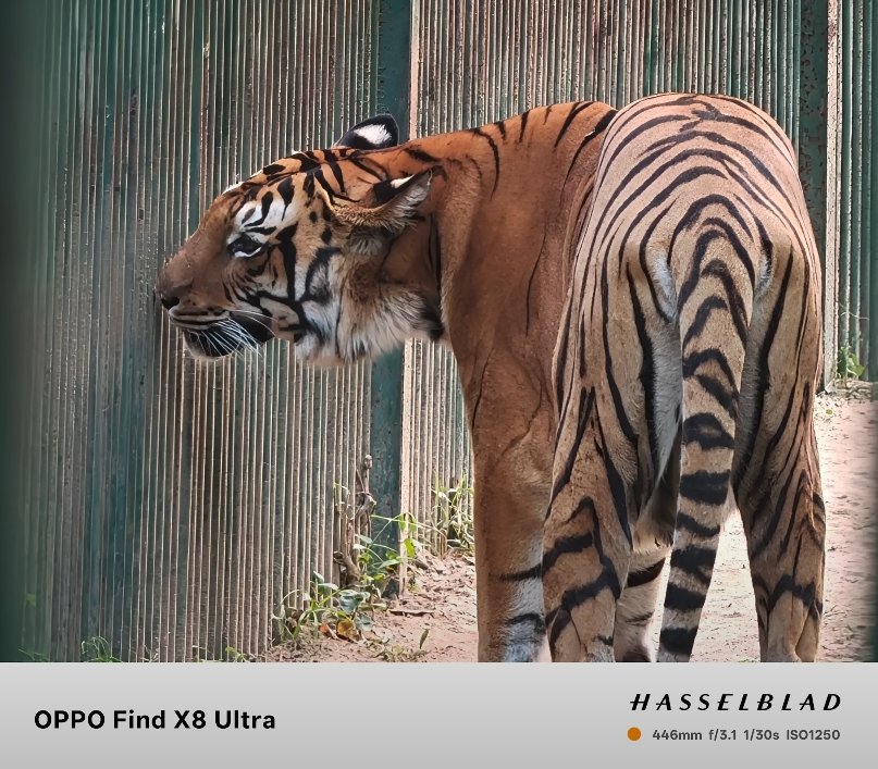 Oppo Find X8 Ultra vs Xiaomi 15 Pro camera comparison