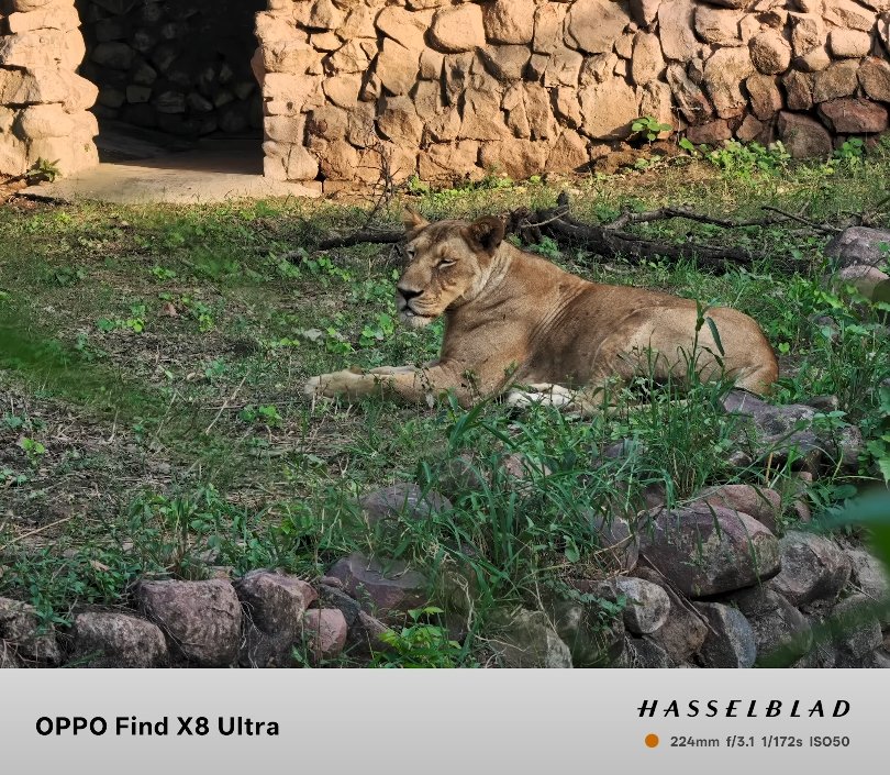 Oppo Find X8 Ultra vs iPhone 15 Plus camera review