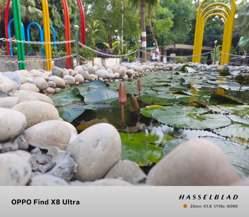 Oppo Find X8 Ultra vs iPhone 15 Pro Max zoom result