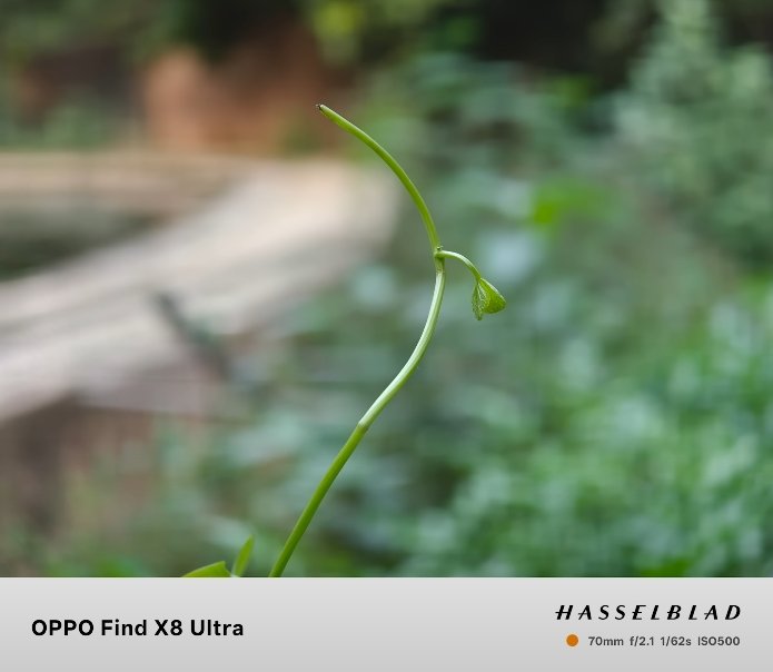Oppo Find X8 Ultra vs iPhone 15 Pro camera results