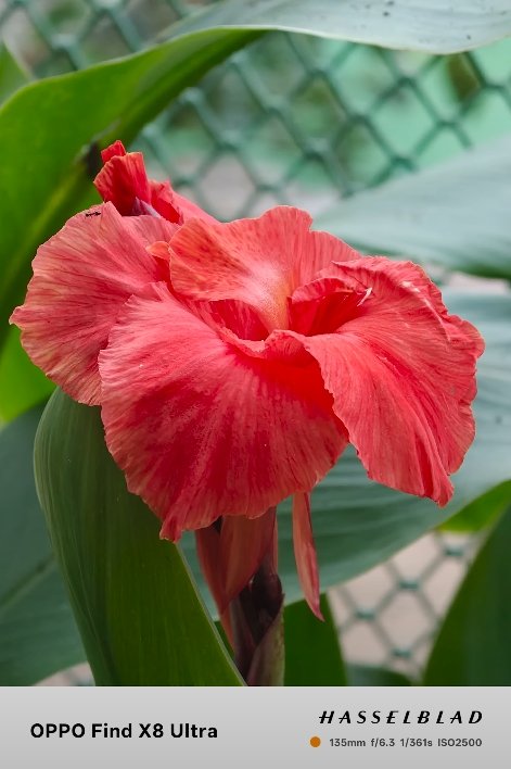 Oppo Find X8 Ultra vs iPhone 16 Pro early design leaks