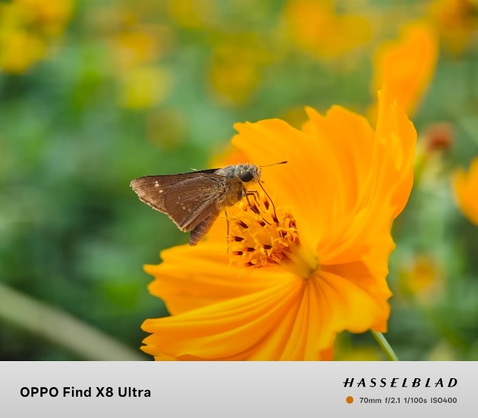Oppo Find X8 Ultra zoom camera performance tested
