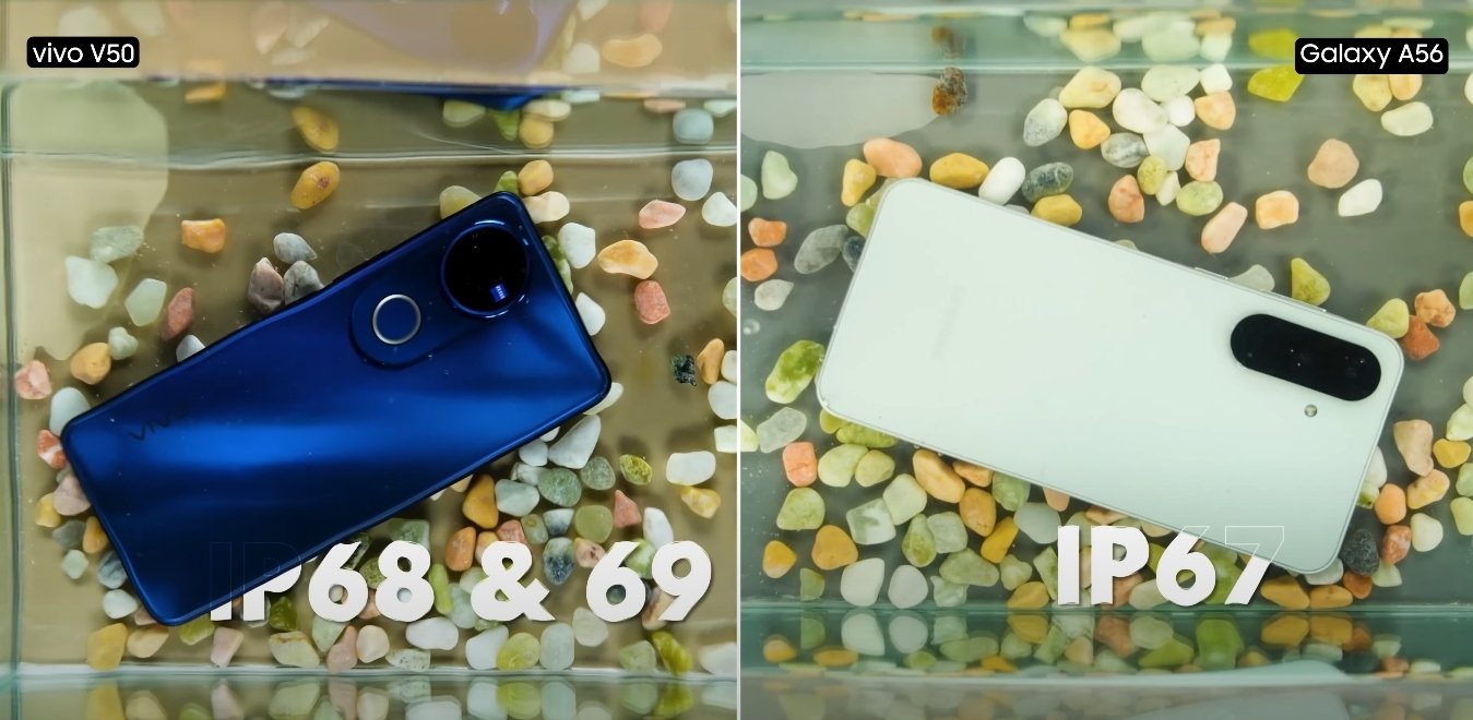 Samsung Galaxy A56 vs Vivo V50 ip rating