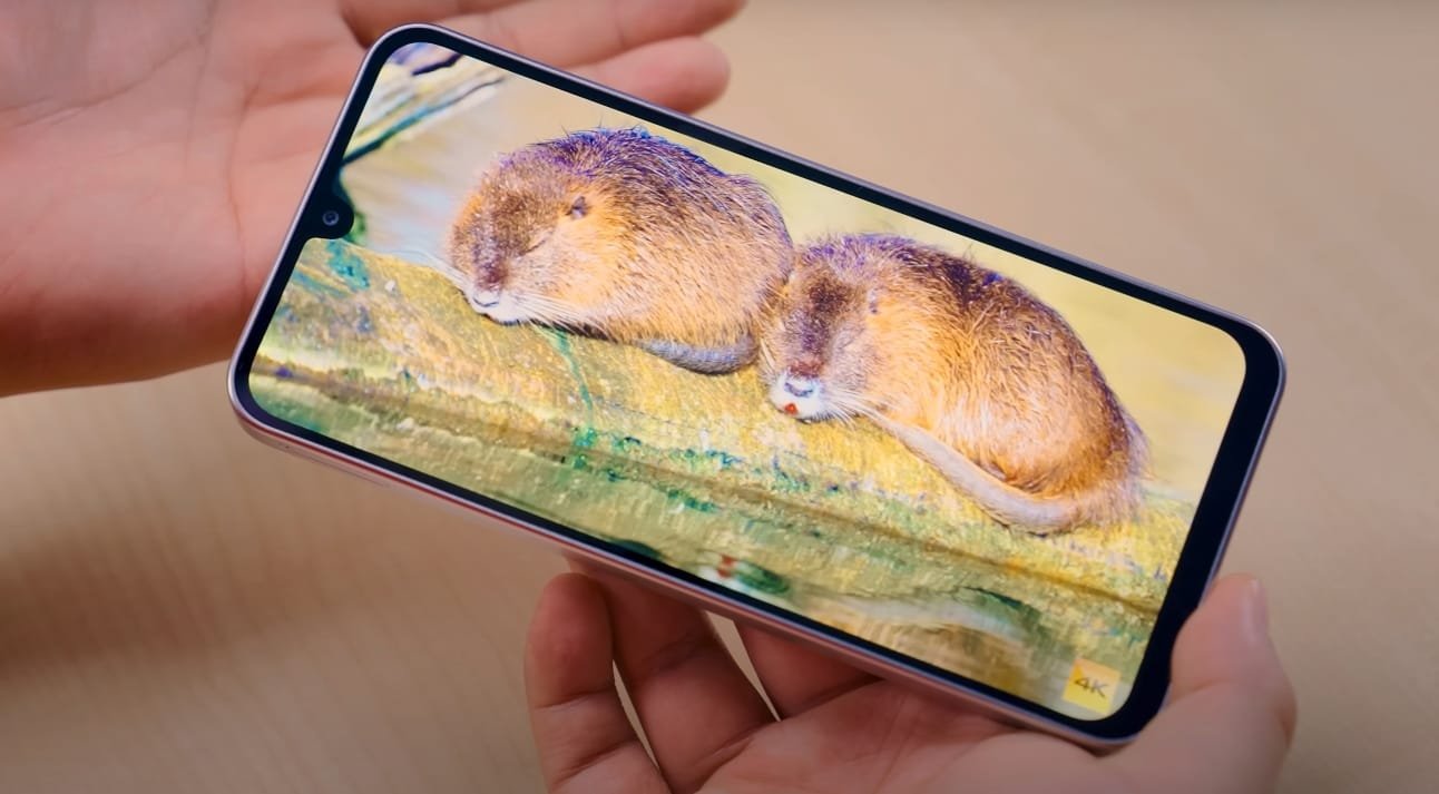 Samsung Galaxy M36 display
