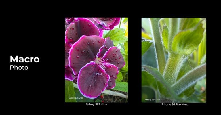 Samsung S25 Ultra VS iPhone 16 Pro Max Camera Test by techsputit.com