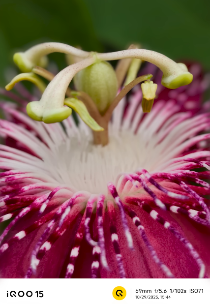 UAE smartphone enthusiasts discuss iQOO 15 camera improvements online