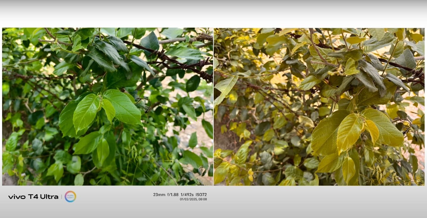 Vivo T4 Ultra vs iPhone 15 Camera Comparison