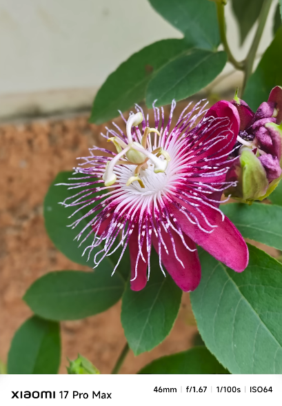 Xiaomi 17 Pro Max camera night mode test how low can it go