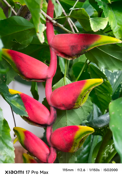 Xiaomi 17 Pro Max camera test triple 50MP sensors take on top rivals