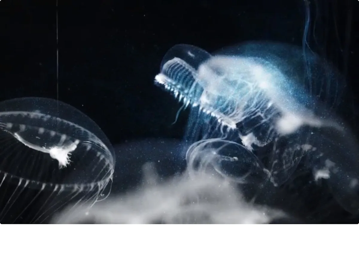 A stunning image of a distant planet, with its vibrant colour and unique behaviour, sparking curiosity about the possibility of alien life, as a space researcher delves into the mysteries of the universe