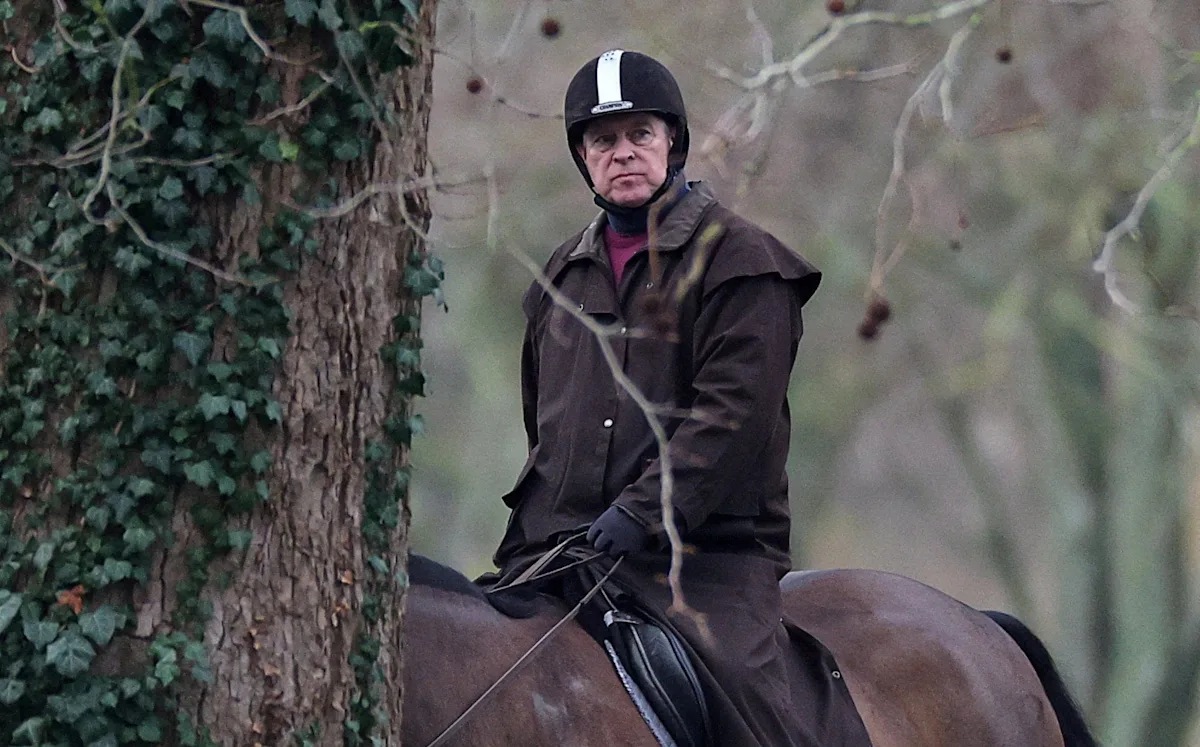 A descriptive image of a horse and rider in action, with a focus on the horse riding community and the recent ban, highlighting the beauty and elegance of horse riding, with a horse and rider in full colour, showcasing their skills and horse riding behaviour
