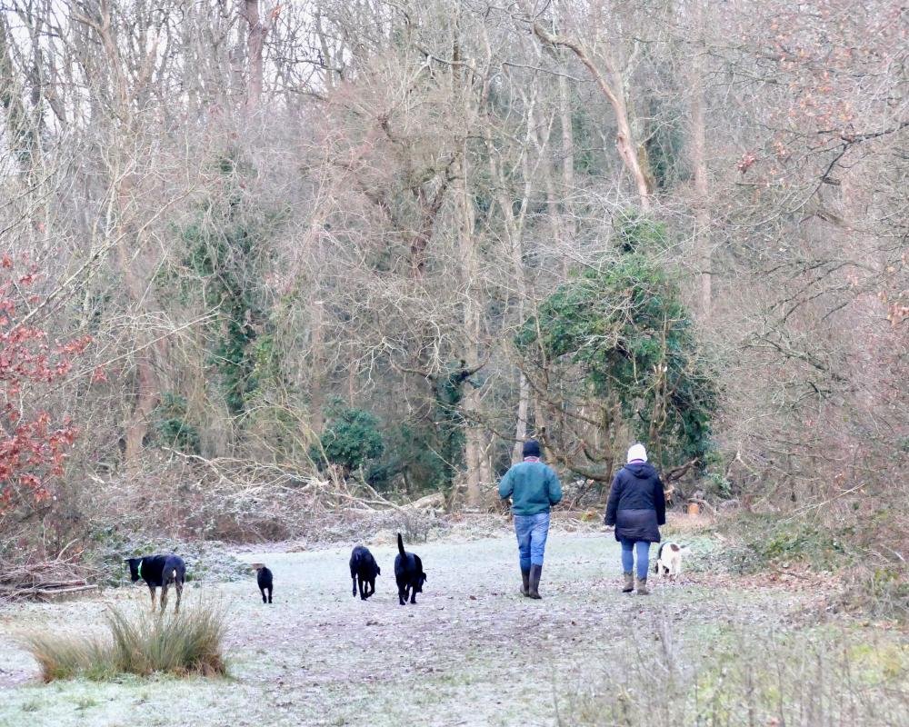 uk weather cold snap forecast