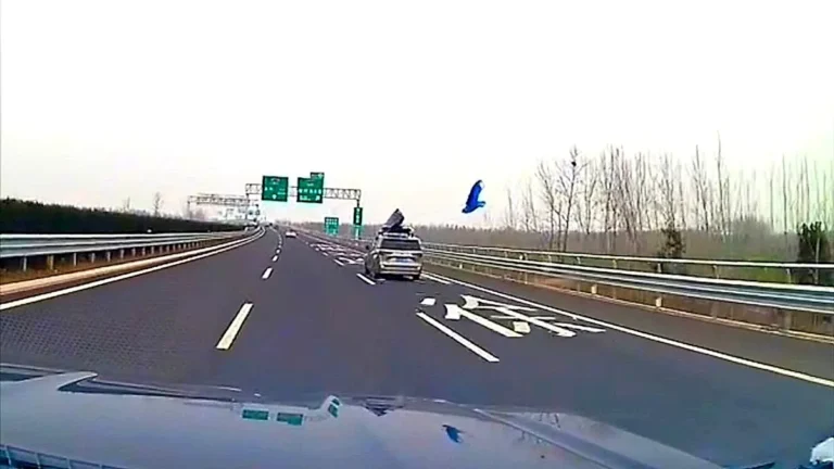A motorway filled with debris after a rooftop box suddenly bursts open, causing chaos and disruption to traffic, with cars and lorries swerving to avoid the wreckage, as people analyse the situation and react quickly to avoid accidents, highlighting the importance of motorway safety and security