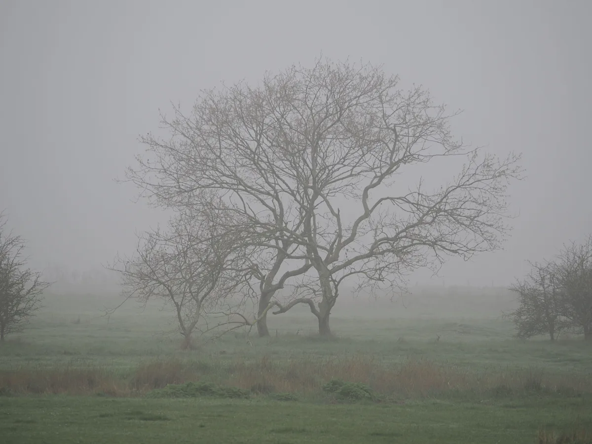A snowy landscape in the UK, with a car driving down a snowy road. The Met Office has issued a yellow weather warning for parts of the UK, with snow and ice expected to cause disruption. The primary keyword for this image is UK snow forecast