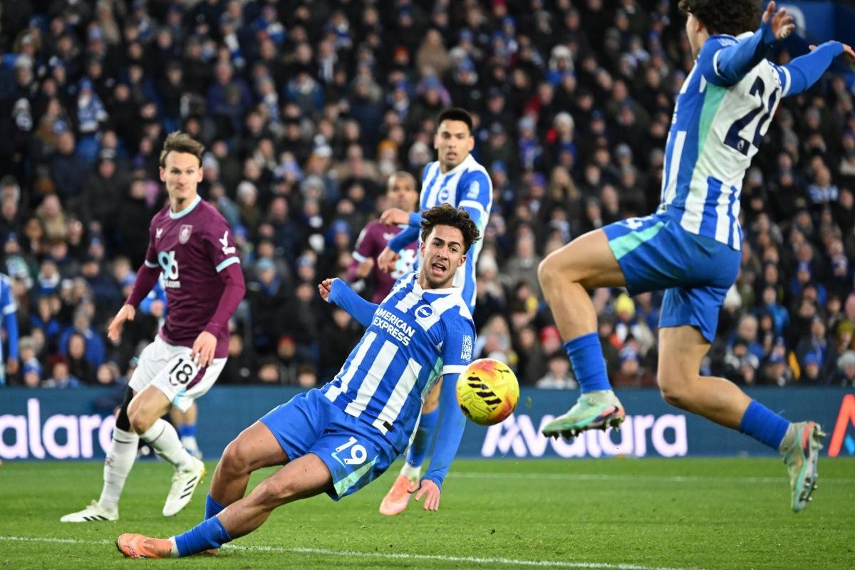 Albion's winning team celebrates with manager Fabian Hurzeler