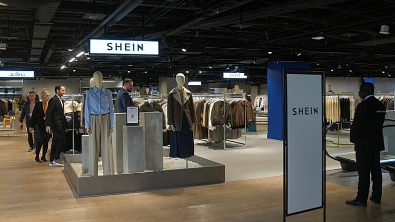 Shein e-commerce platform wins in French court