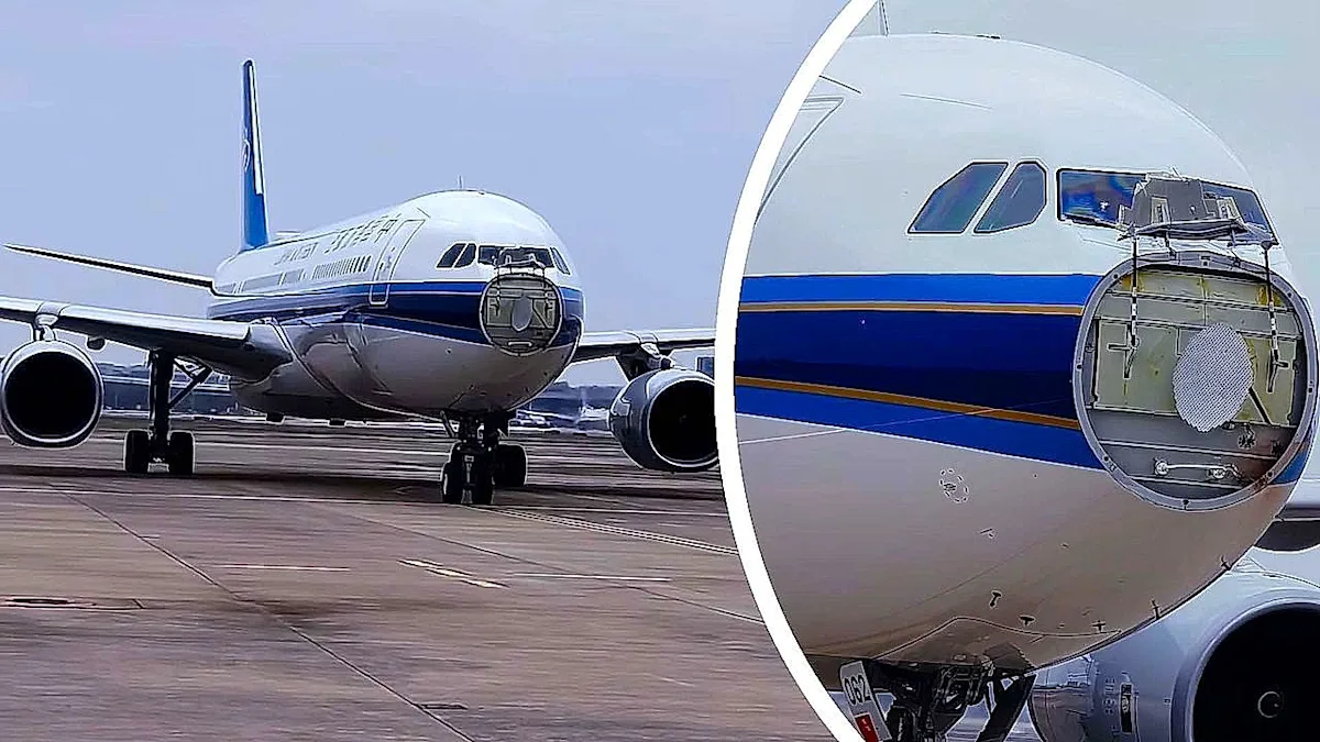 Aircraft engine damaged by bird strike, with a bird in the background, highlighting the importance of bird control measures in aviation safety