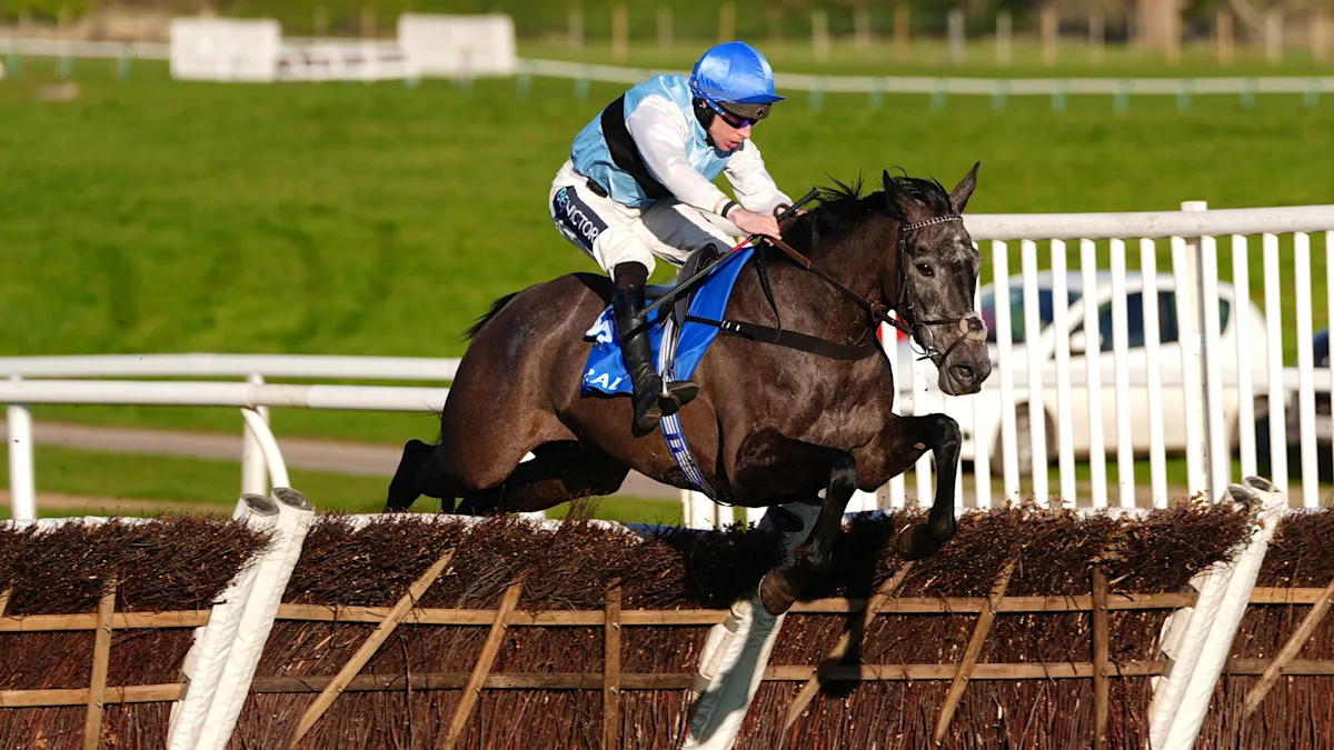 Tenter Le Tout wins at Chepstow racecourse
