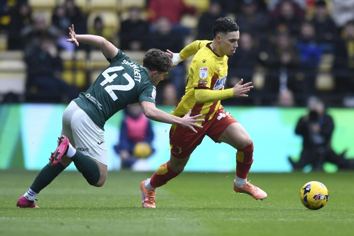 Maamma wins championship player award