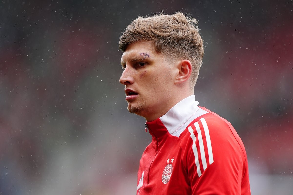 football fan violence incident