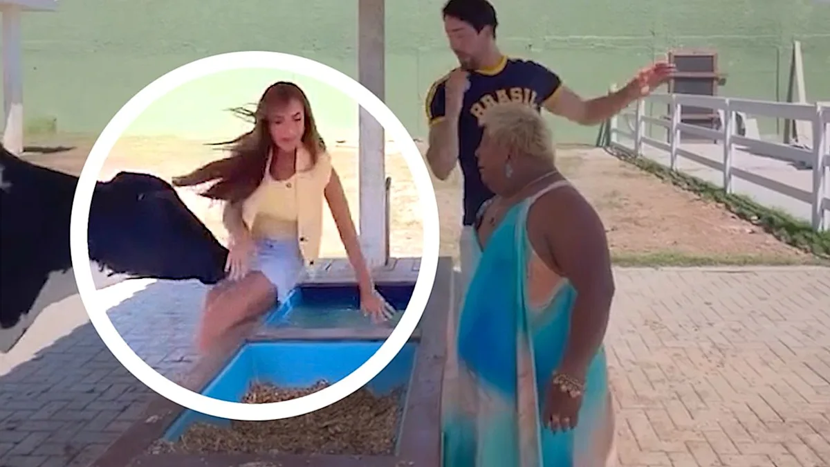 A TV presenter is headbutted by a cow and sent crashing into the water, highlighting the importance of animal welfare and safety, with a focus on cow behaviour