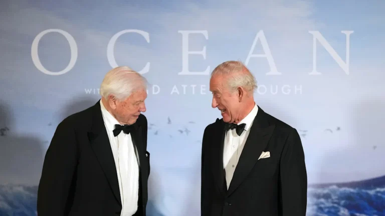 Sir David Attenborough standing in a forest, surrounded by trees and wildlife, with a gentle smile on his face, symbolising his love and dedication to nature conservation, on his 100th birthday