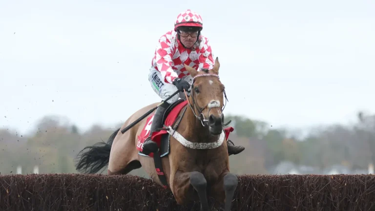 Jango Baie horse racing image