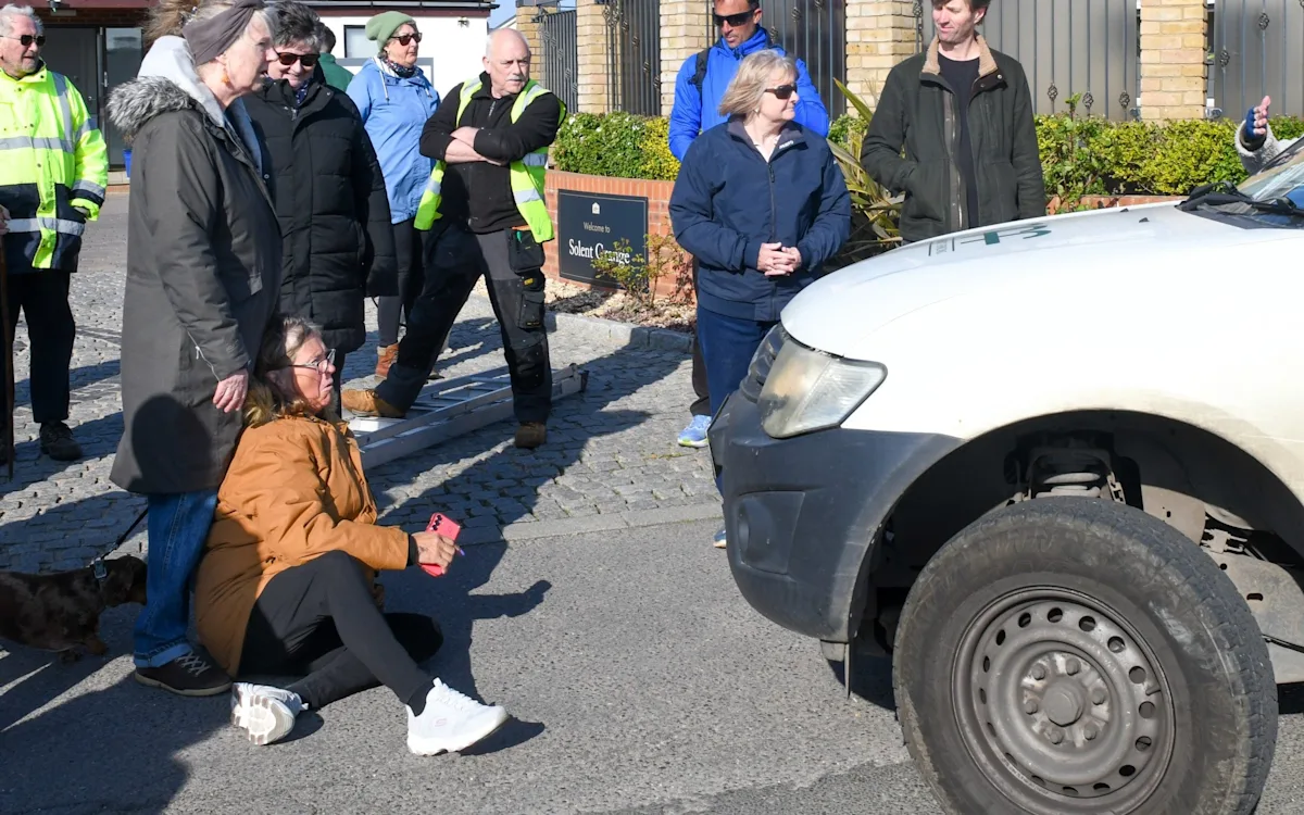 Residents lying in front of a van to stop the demolition of a hedge in a retirement park, with a variety of birds and insects flying around the hedge, highlighting the importance of preserving the natural environment and the local ecosystem